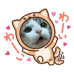 [LINEスタンプ] ～うちの猫たちスタンプ～