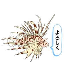 [LINEスタンプ] ハナミノカサゴの日常