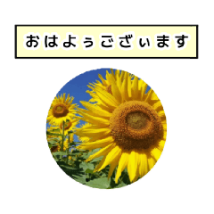 [LINEスタンプ] neneのお花敬語あいさつ