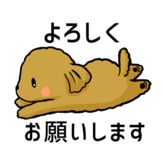 [LINEスタンプ] 愛犬はトイプードル【敬語】