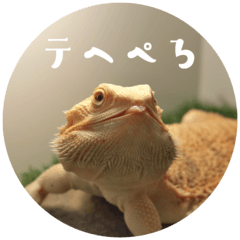 [LINEスタンプ] 毎日すけすけカレーパン