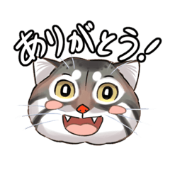 [LINEスタンプ] 【今日から！マヌルネコ家族】のスタンプ