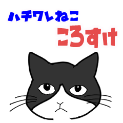 [LINEスタンプ] ハチワレ猫 ころすけ