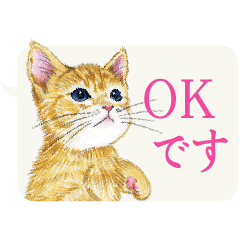 [LINEスタンプ] かわいい子猫の、日常ごあいさつ【修正版】の画像（メイン）