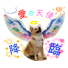 [LINEスタンプ] ナナちゃんスタンプ【よく使うワン④】