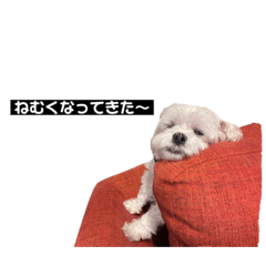 [LINEスタンプ] うちのるーとはりー