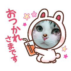 [LINEスタンプ] ～うちの猫たちスタンプ2～