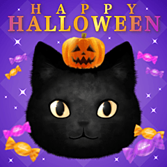 [LINEスタンプ] 黒猫のハロウィン*かぼちゃとおばけの画像（メイン）