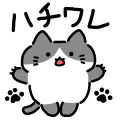 [LINEスタンプ] シンプルで使いやすいハチワレ猫の画像（メイン）