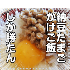 [LINEスタンプ] 納豆たまごかけご飯☆NTKG