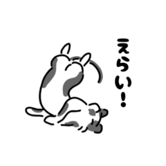 [LINEスタンプ] ハチワレ鼻黒ねこのスタンプ