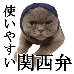 [LINEスタンプ] ぶさかわいい猫のスタンプ使いやすい関西弁