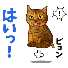 [LINEスタンプ] 保護猫スタンプ 孤高の乙女 ミント