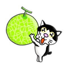 [LINEスタンプ] 小鉄ちゃん可愛い猫（食ネタ）