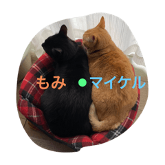 [LINEスタンプ] もみとマイケル 1st