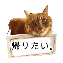 [LINEスタンプ] River side〰️