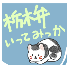 [LINEスタンプ] ねむり猫が起きてきたんけ 栃木県