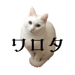 [LINEスタンプ] 笑ゆず