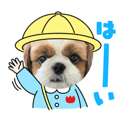 [LINEスタンプ] シーズー犬アレンくん