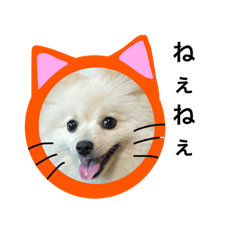 [LINEスタンプ] 家族で使うラムのスタンプ
