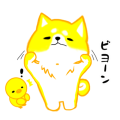 [LINEスタンプ] しばぽこ。ぴよぽこ。よぽこあら。シンプル