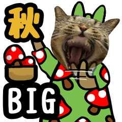 [LINEスタンプ] 猫キジトラビッグスタンプ