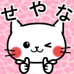 [LINEスタンプ] 毎日使える☆白ネコの大阪弁の画像（メイン）