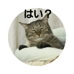 [LINEスタンプ] 春日井さんちの友達～とら～