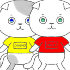 [LINEスタンプ] 猫CHAN 日常挨拶