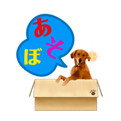 [LINEスタンプ] ゴールデンレトリバーのえいちゃん♬