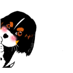 [LINEスタンプ] キャバリアいぬくん