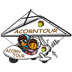 [LINEスタンプ] ACORN TOUR :旅行の気持ち編