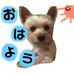 [LINEスタンプ] レオくんのstamp