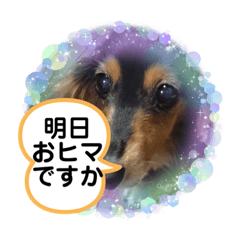 [LINEスタンプ] やっぱりミミちゃん