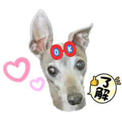 [LINEスタンプ] DIOの日常