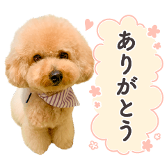 [LINEスタンプ] 印刷屋社員のペットたち【犬と猫】