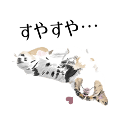 [LINEスタンプ] 【パピー】いろいろまみれ