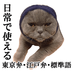 [LINEスタンプ] ぶさかわいい猫の実写スタンプ標準語江戸弁