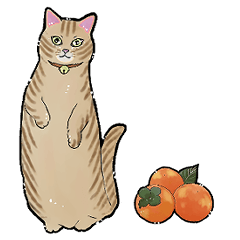 [LINEスタンプ] チャトラねこと柿