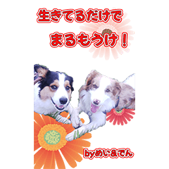 [LINEスタンプ] めい＆でん＆ふぅ＆やまと