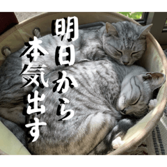 [LINEスタンプ] むぎたんゆきたん3