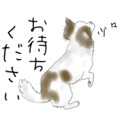 [LINEスタンプ] 雑種犬の毎日「お友達のチワワさん」