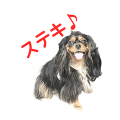 [LINEスタンプ] フクザクツグとトーラスポンゴンandリナ
