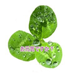 [LINEスタンプ] はぁーとぁ あそび 花ぼたん