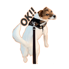 [LINEスタンプ] わがやのゆきちスタンプ