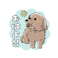 [LINEスタンプ] ひめちゃんの日常スタンプ！！