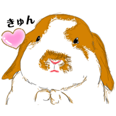 [LINEスタンプ] ドゥブツスタンプ