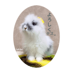 [LINEスタンプ] Minchopila 2