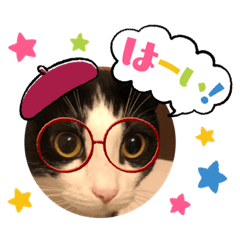 [LINEスタンプ] RIRI＆RON④