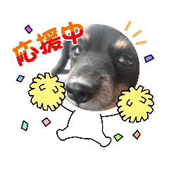 [LINEスタンプ] チワックス なぁーちゃん♡